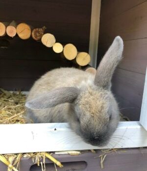 admin-ajax (6) admin-ajax (6)